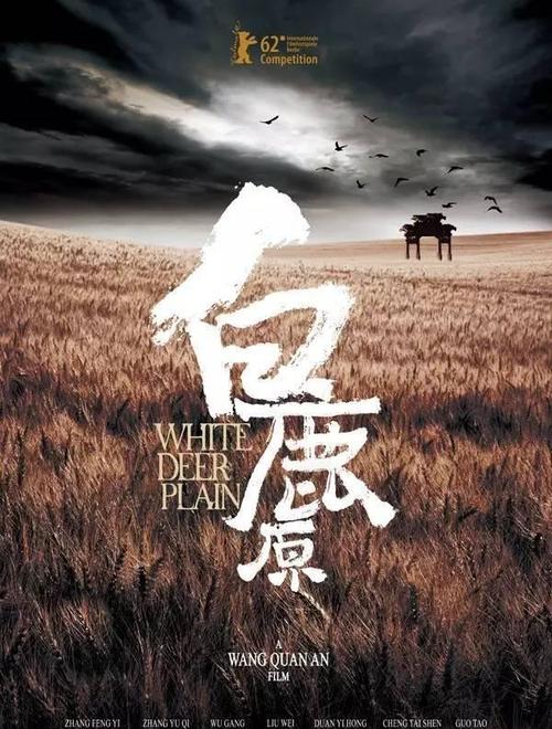 做个假伊利诺伊州驾驶证